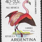 Flamenco - Aves Argentinas - Año 1970