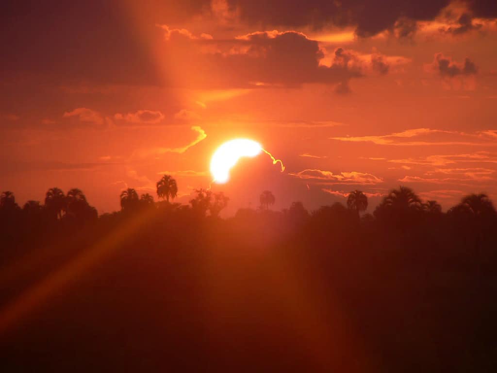 Atardecer en el Palmar de Colón