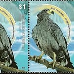 Fauna Silvestre 2009