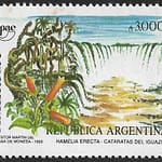 América - UPAEP - Año 1990 - Viñeta: Hamelia Erecta - Cataratas del Iguazú