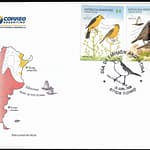 Aves Autóctonas - Tordo Amarillo - Loica Común