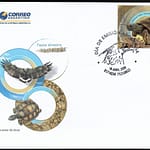 Fauna Silvestre en Extinción - Tortuga de Tierra - Chelonoidis Argenta - Año 2009