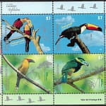 Tucanes de la Argentina - Fauna - Año 2015