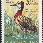 Pato Suirirí - Año 1969 - Aves Argentinas