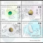 Legumbres Secas de la Argentina - Flora - Año 2016