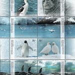 Fauna Antártica Año 2007