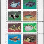 Peces que habitan los ríos argentinos - Año 1987