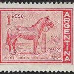 Caballo Criollo